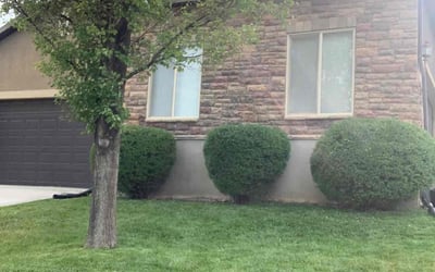 Photo of Jeremy F.'s yard after getting lawn care in Herriman, UT