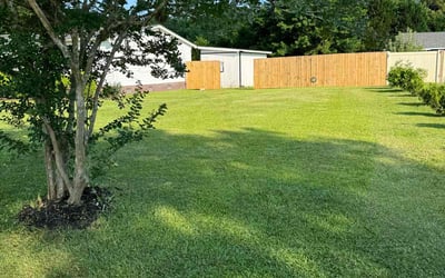 Photo of Kenneth D.'s yard after getting lawn care in Loris, SC