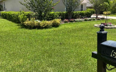 Photo of Nicholas D.'s yard after getting lawn care in Parma, OH