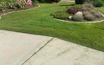 Photo of Limin C.'s yard after getting lawn care in Apex, NC