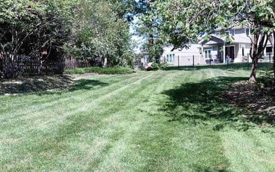 Photo of Melaine C.'s yard after getting lawn care in Middletown, NY