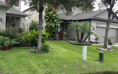 Photo of Briaunna L.'s yard after getting lawn care in Sanford, FL