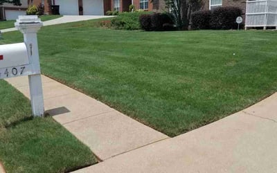 Photo of Mary D.'s yard after getting lawn care in Bessemer, AL