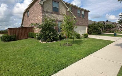 Photo of Thomas A.'s yard after getting lawn care in Westborough, MA