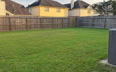 Photo of Jasmine P.'s yard after getting lawn care in Jonesboro, GA
