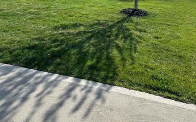 Photo of Joyce H.'s yard after getting lawn care in Waukee, IA