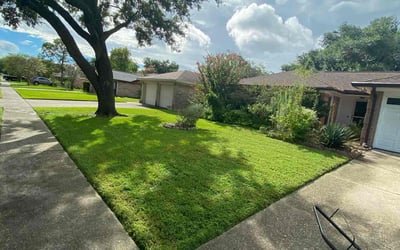 Photo of Nicole M.'s yard after getting lawn care in Webster, TX