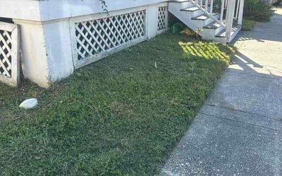 Photo of Ammar I.'s yard after getting lawn care in Lehi, UT