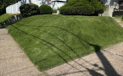 Photo of Bernard B.'s yard after getting lawn care in Philadelphia, PA