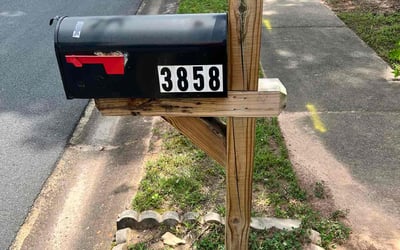 Photo of Clement W.'s yard after getting lawn care in Mebane, NC