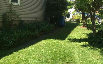 Photo of Tiffani & David C.'s yard after getting lawn care in Waltham, MA