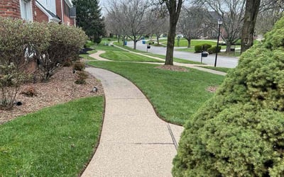Photo of Mark T.'s yard after getting lawn care in Crestwood, KY