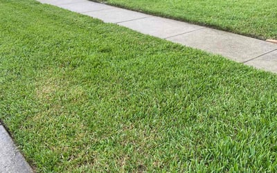 Photo of Marguerite J.'s yard after getting lawn care in Martinsburg, WV