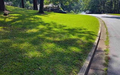 Photo of Kristina W.'s yard after getting lawn care in Jonesboro, AR