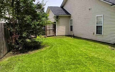 Photo of Adam W.'s yard after getting lawn care in Ozone Park, NY