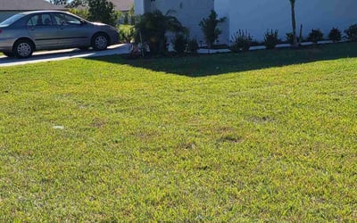 Photo of Will J.'s yard after getting lawn care in Palmetto, FL