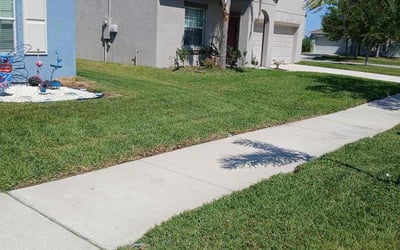 Photo of Carol W.'s yard after getting lawn care in Gibsonton, FL