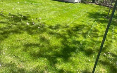 Photo of Laura R.'s yard after getting lawn care in Charleroi, PA