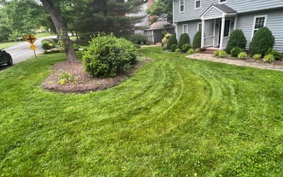 Photo of Rodney A.'s yard after getting lawn care in Amelia Court House, VA