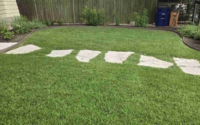 Photo of Lily R.'s yard after getting lawn care in Lockhart, TX