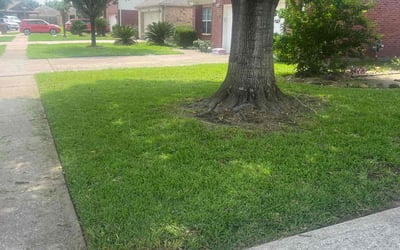 Photo of Kim D.'s yard after getting lawn care in Baytown, TX