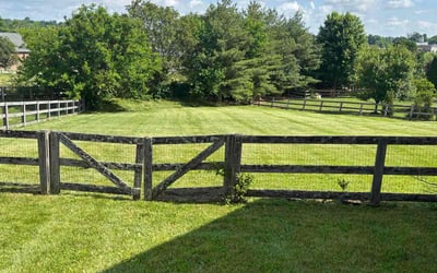 Photo of Miles D.'s yard after getting lawn care in Covington, GA