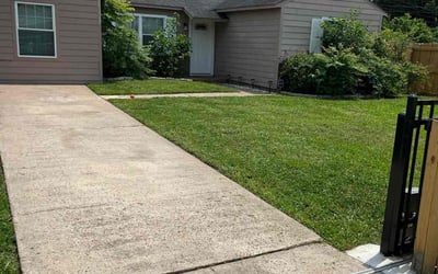 Photo of Michael W.'s yard after getting lawn care in Stony Brook, NY