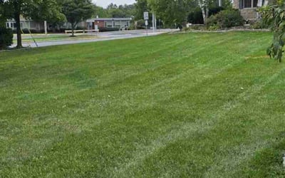 Photo of Trenee M.'s yard after getting lawn care in Quakertown, PA