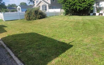 Photo of Laura W.'s yard after getting lawn care in Brentwood, NY