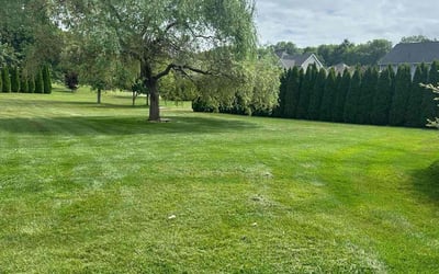 Photo of Anne-Kathrin D.'s yard after getting lawn care in Locust Grove, GA