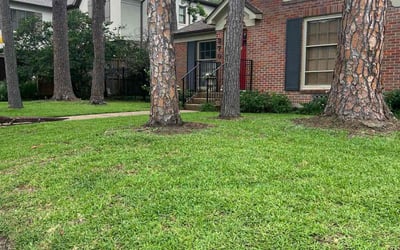 Photo of Keneisha E.'s yard after getting lawn care in Houston, TX