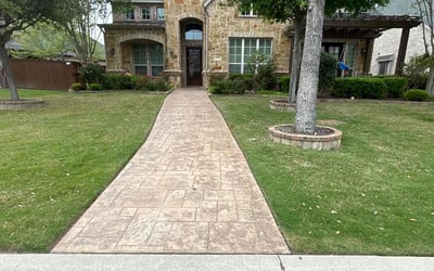 Photo of Mohammed S.'s yard after getting lawn care in Haltom City, TX
