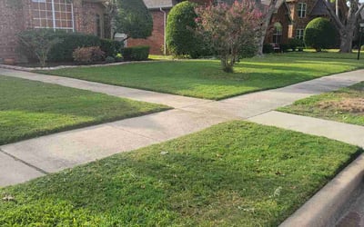 Photo of Shay W.'s yard after getting lawn care in Laveen, AZ