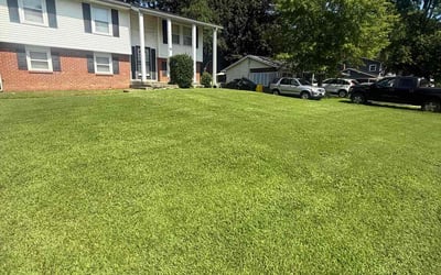 Photo of Alexis C.'s yard after getting lawn care in Irmo, SC