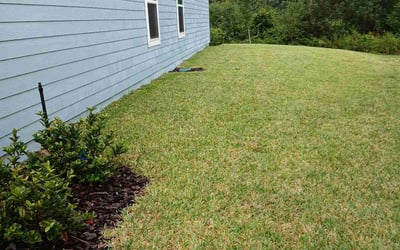 Photo of Forrest M.'s yard after getting lawn care in Keystone Heights, FL