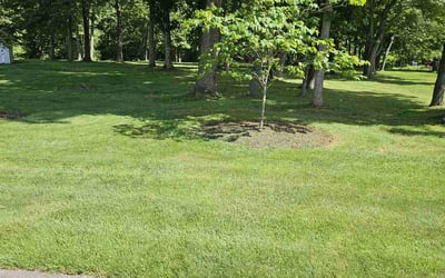 Photo of Jennida W.'s yard after getting lawn care in Haverhill, MA