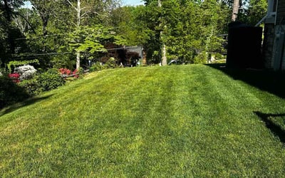 Photo of Linda L.'s yard after getting lawn care in Pasadena, MD