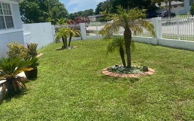 Photo of Linda H.'s yard after getting lawn care in Miami Gardens, FL