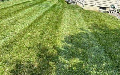 Photo of Erik R.'s yard after getting lawn care in Lusby, MD