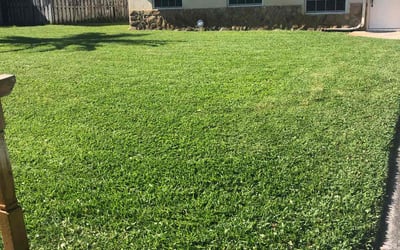 Photo of Danielle P.'s yard after getting lawn care in Lake Worth, FL