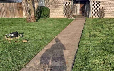 Photo of Greg P.'s yard after getting lawn care in Reading, MA