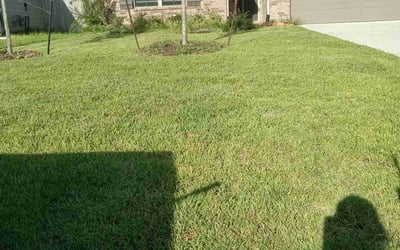 Photo of Davy P.'s yard after getting lawn care in New Caney, TX