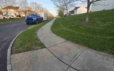 Photo of Ferran T.'s yard after getting lawn care in Oxford, PA