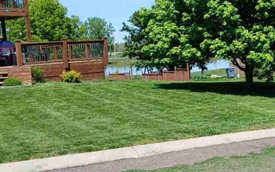Photo of Angela C.'s yard after getting lawn care in Lacygne, KS