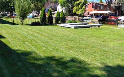 Photo of Jim K.'s yard after getting lawn care in Waunakee, WI