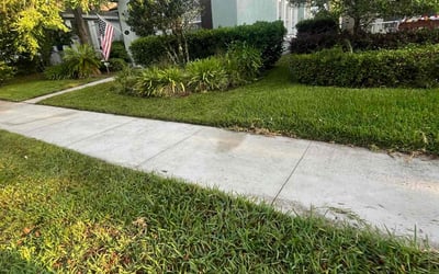 Photo of Odalis D.'s yard after getting lawn care in Deland, FL