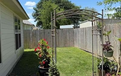 Photo of Laura M.'s yard after getting lawn care in Lafayette, LA