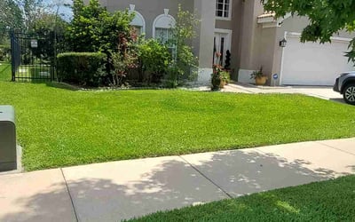 Photo of Latanya W.'s yard after getting lawn care in Crystal River, FL