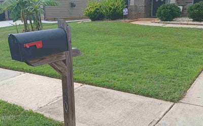 Photo of Cindy D.'s yard after getting lawn care in Warminster, PA