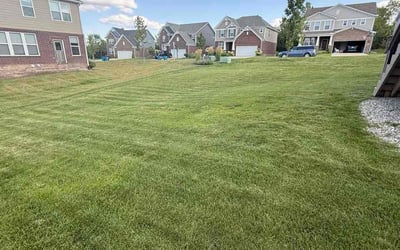 Photo of Crispian G.'s yard after getting lawn care in Orange Park, FL